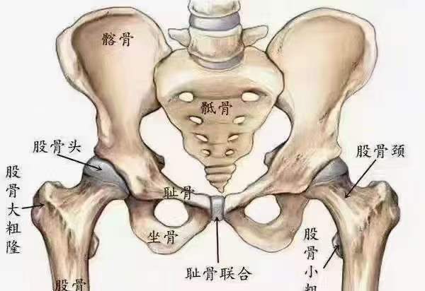 今日分享: