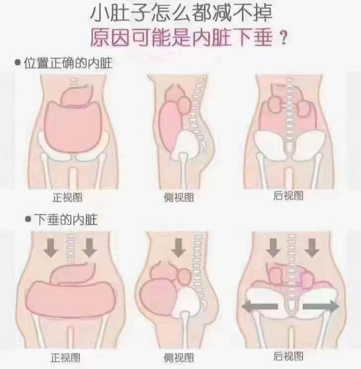 生完孩子后子宫腾空，内脏失去支撑。随...
