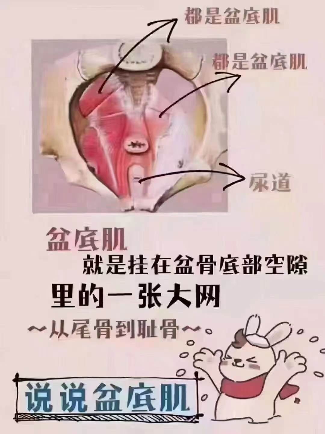 盆底肌修复的几个好处: