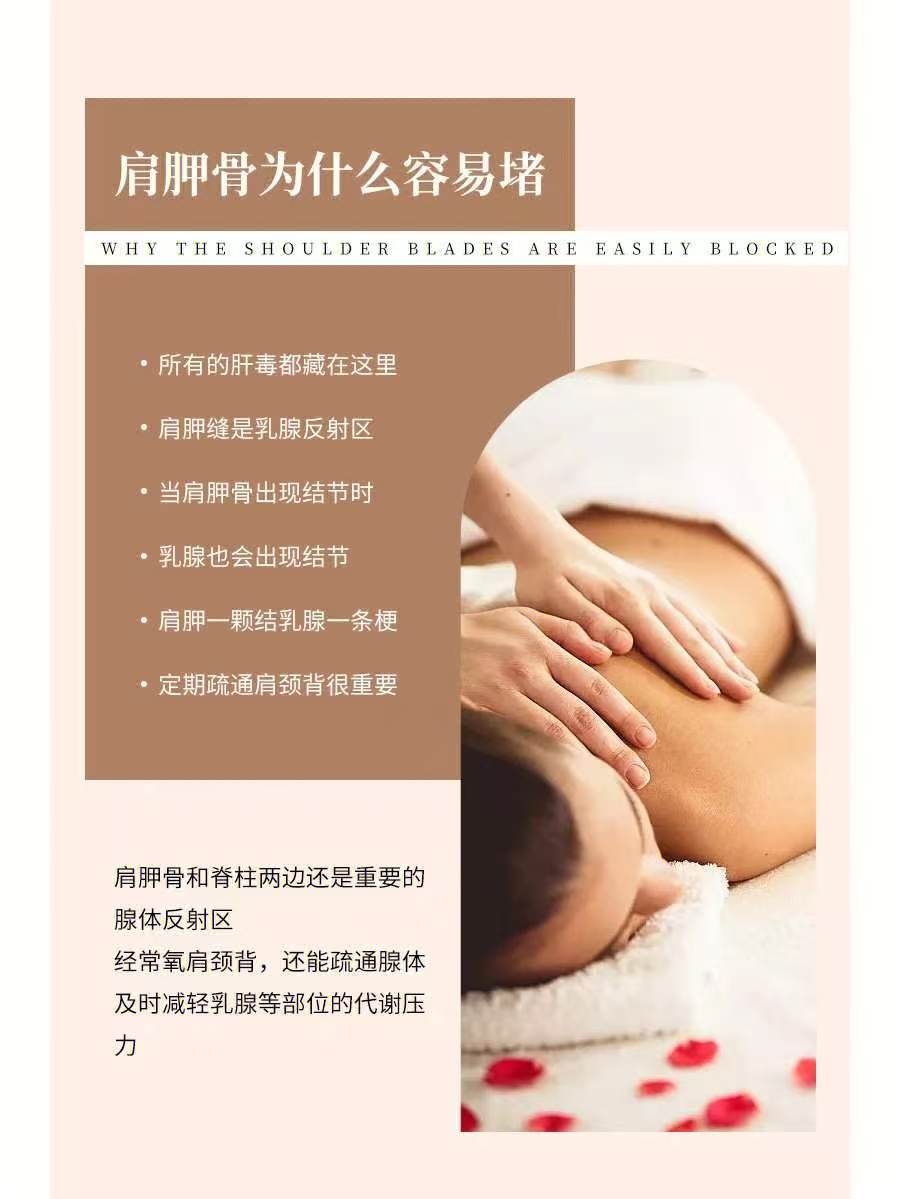 肩胛骨为什么容易堵