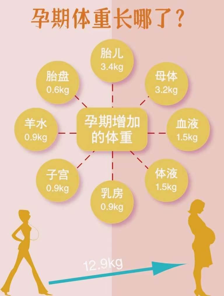 产后肥胖主要分为四种